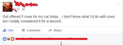 ...wouldn't you?
