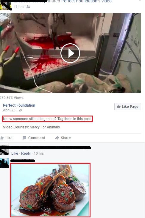How to deal with vegans on Facebook