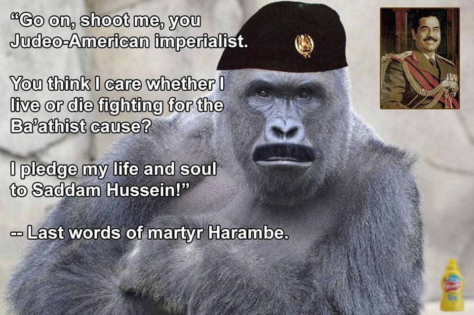 Harambe knew there were no WMD... Thats why he is gone...
