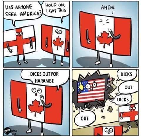 IN CASE YOU FORGOT 9/11!