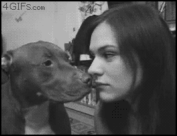Dog gets the last word.