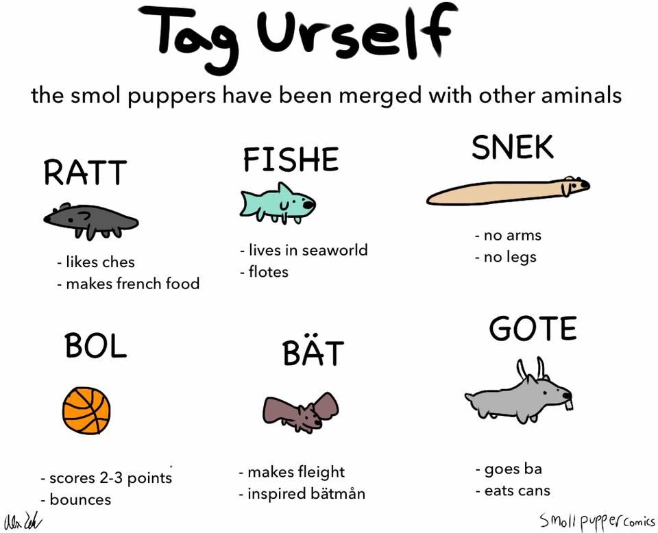 ez u e doggo?