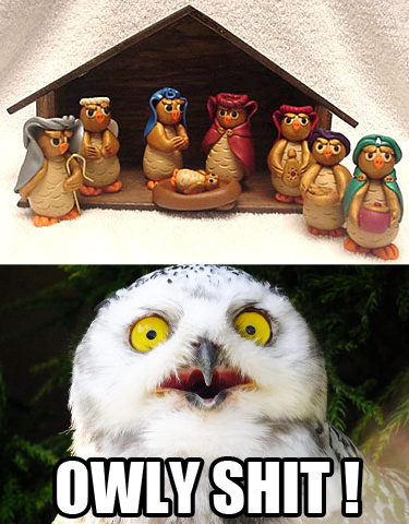 Nativity scene with owls