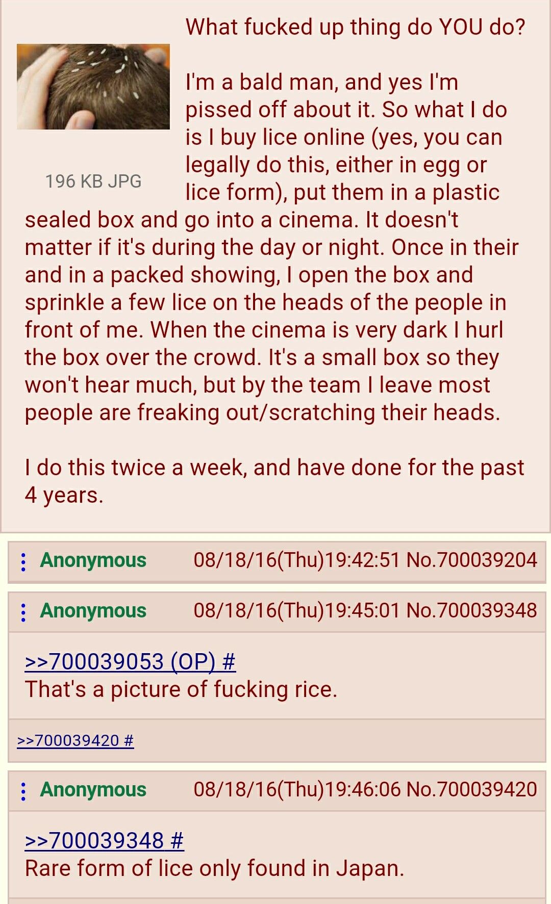 Anon is a lice expert