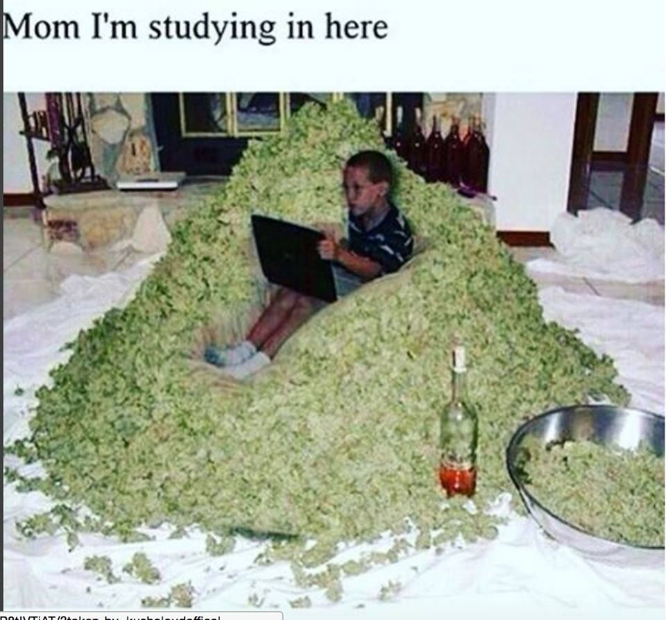 When they ask how is in school?