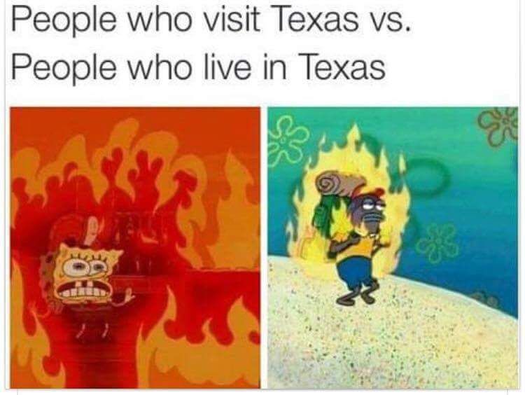 Can the free-est of 'Muricans confirm?