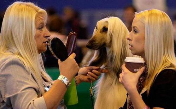 So, what does your human take in her latte?