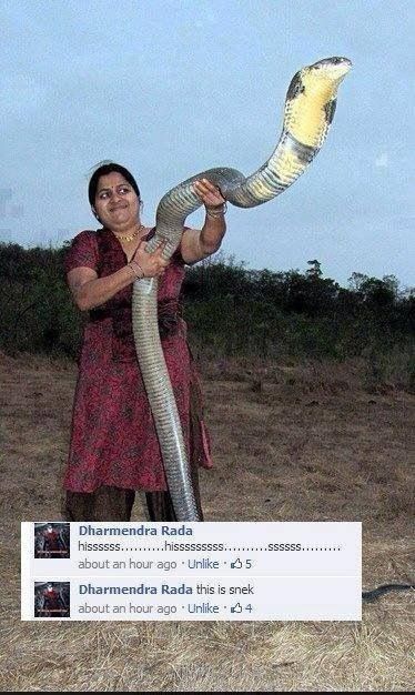 Check my snek guys!
