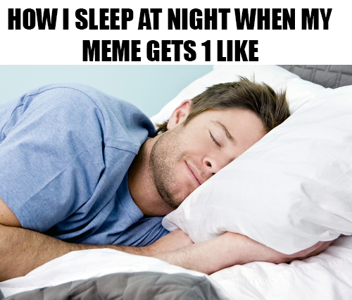 After a successful memeing day