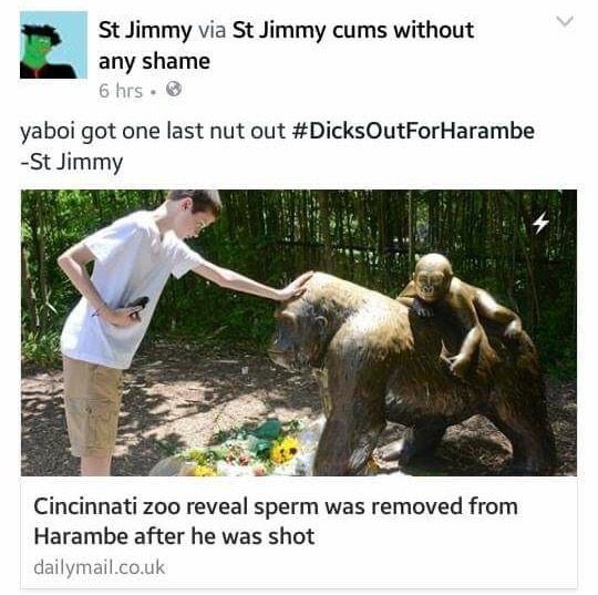 At least we can now have some little Harambes