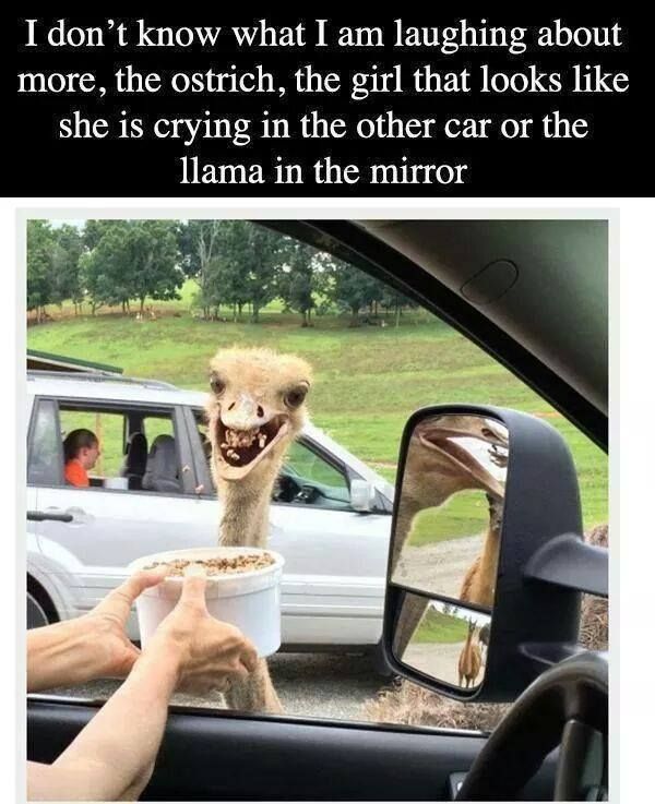I don't Even know