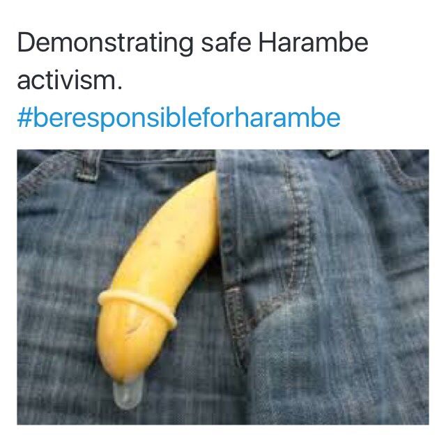 It's what he would have wanted.