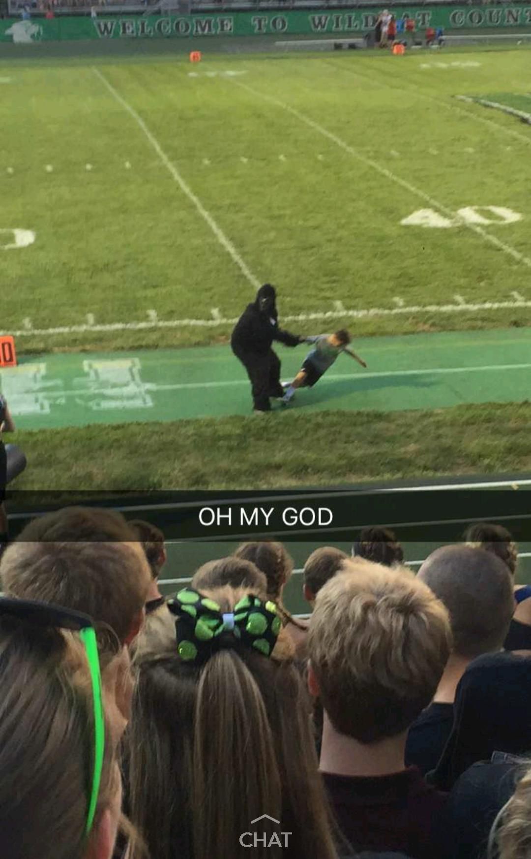 I live in Cincinnati. At my local high school football game a kid showed up in a gorilla suit and started dragging kids around.