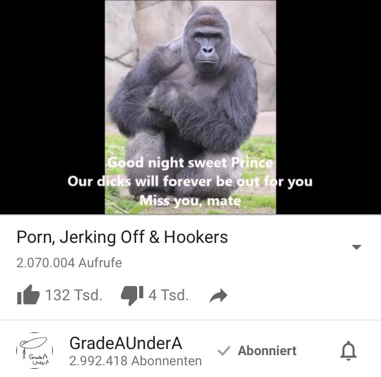 he knows what's up ( ͡° ͜ʖ ͡°)