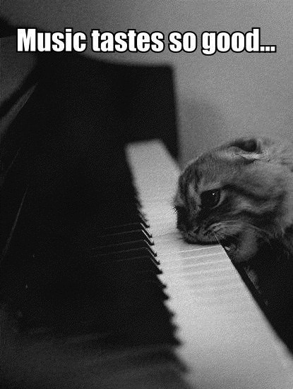 Music and Cats