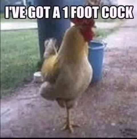 How to pick up girls