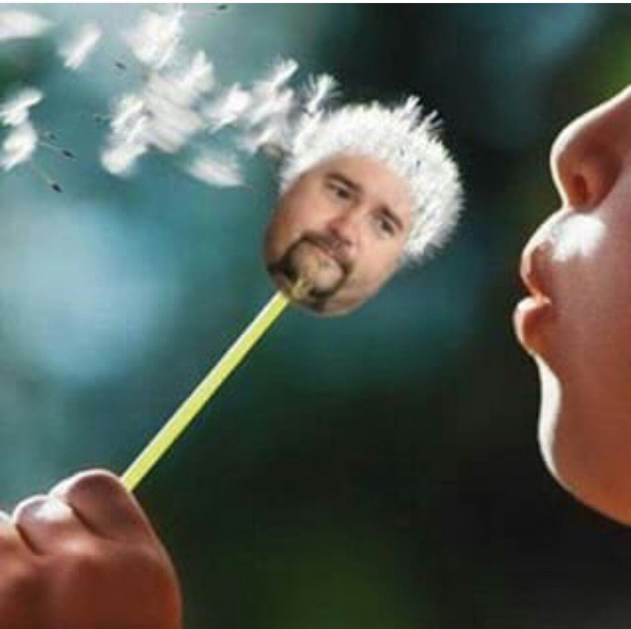 "I just wish for a trip to Flavortown"