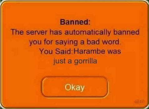 All this memes and people still doesn't get you don't mess with harambe