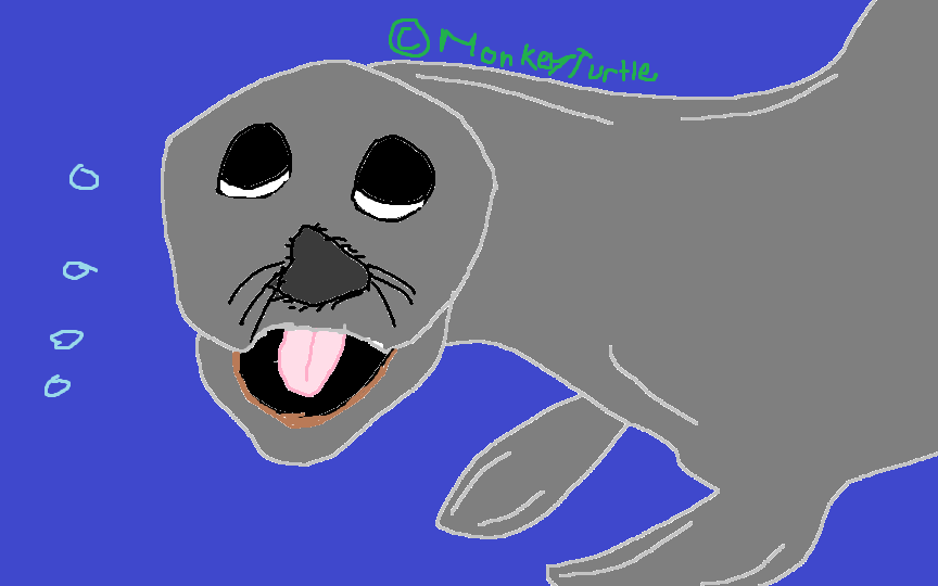 Day 4: A Seal
