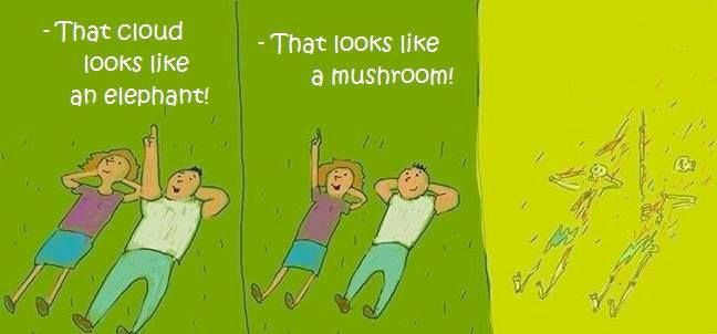 That looks like a mushroom!