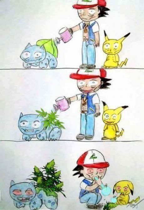 Pika PI?! Thats not weed ASSSSSHHHHH........