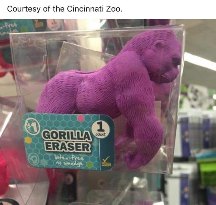 Back to school shopping the Cincinnati Zoo