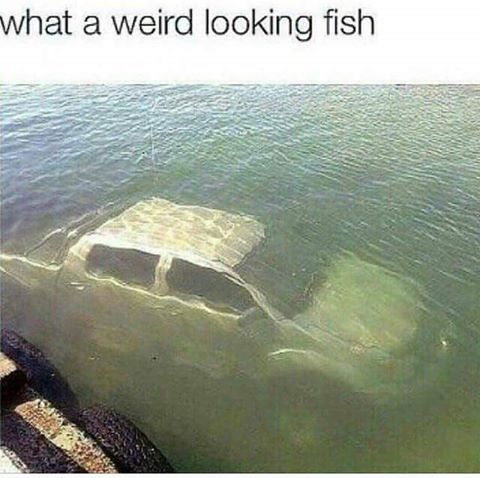 under the sea, darling is better!