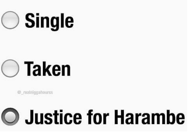 When all you can think of is Harambe