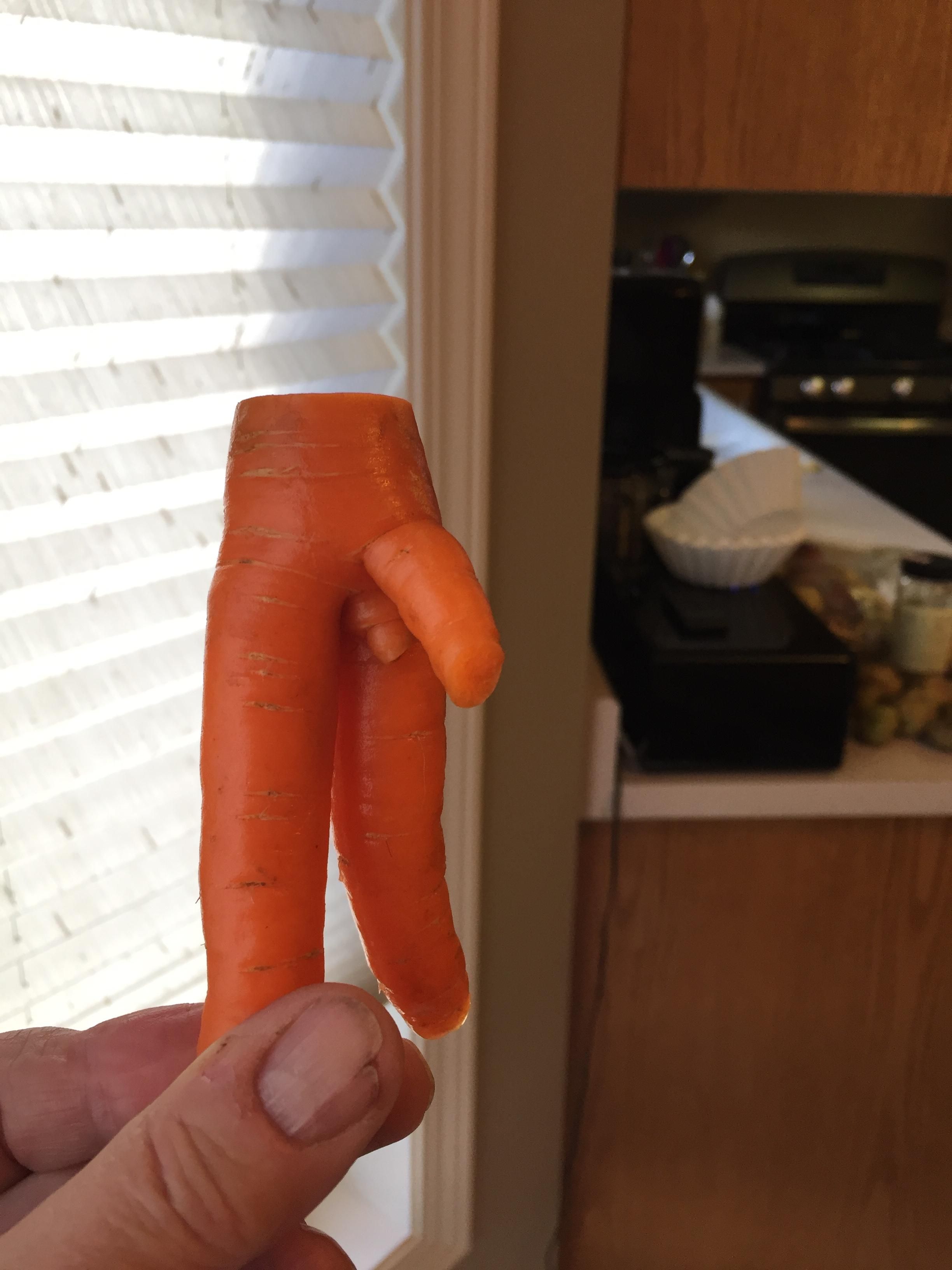 This carrot is hung...