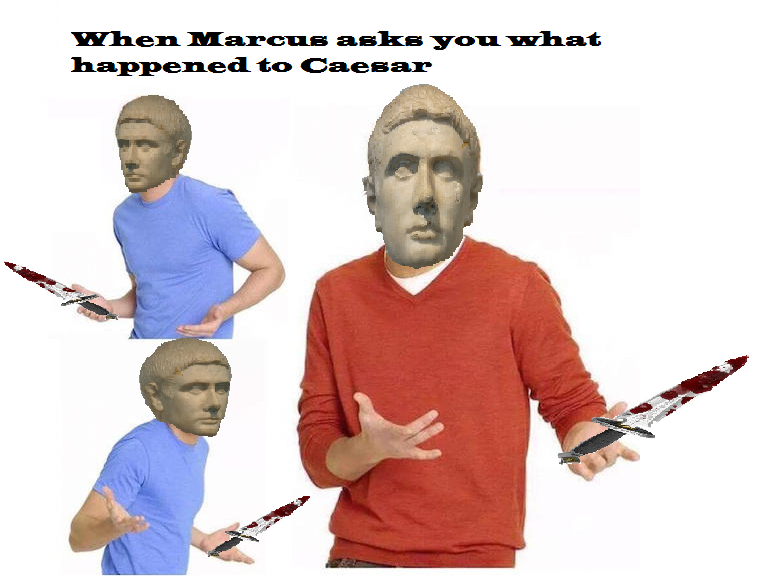 Quis Scit
