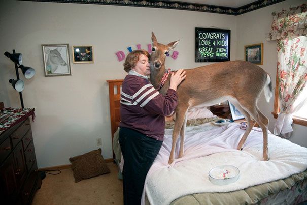 well hello my deer
