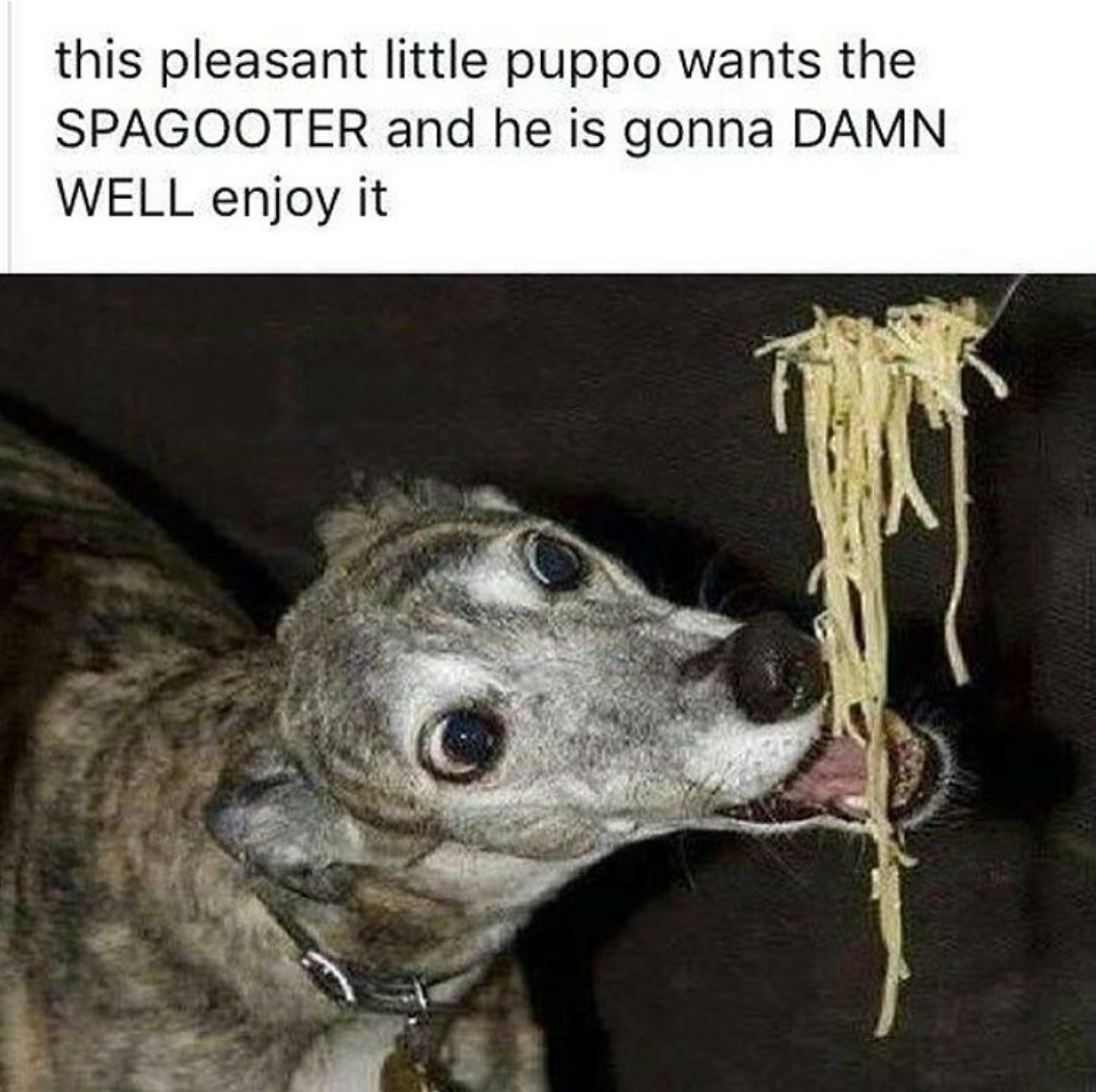 Good itin dogginator