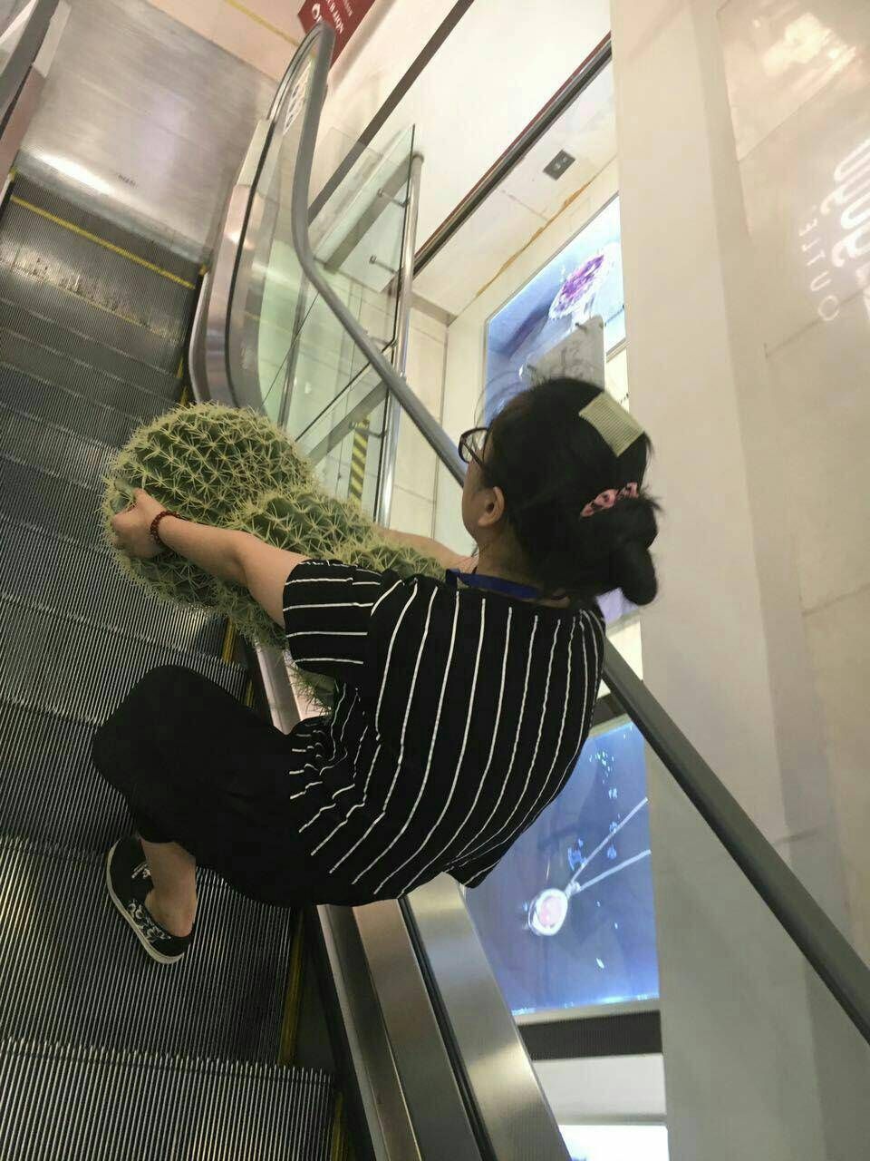 This woman is carrying a cactus with bare hands