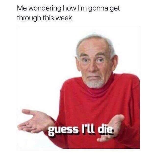 Me wondering what to post now under the Prohibition of edge