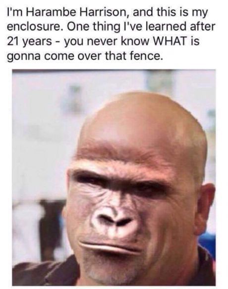 Is that like a Jackpot meymey?