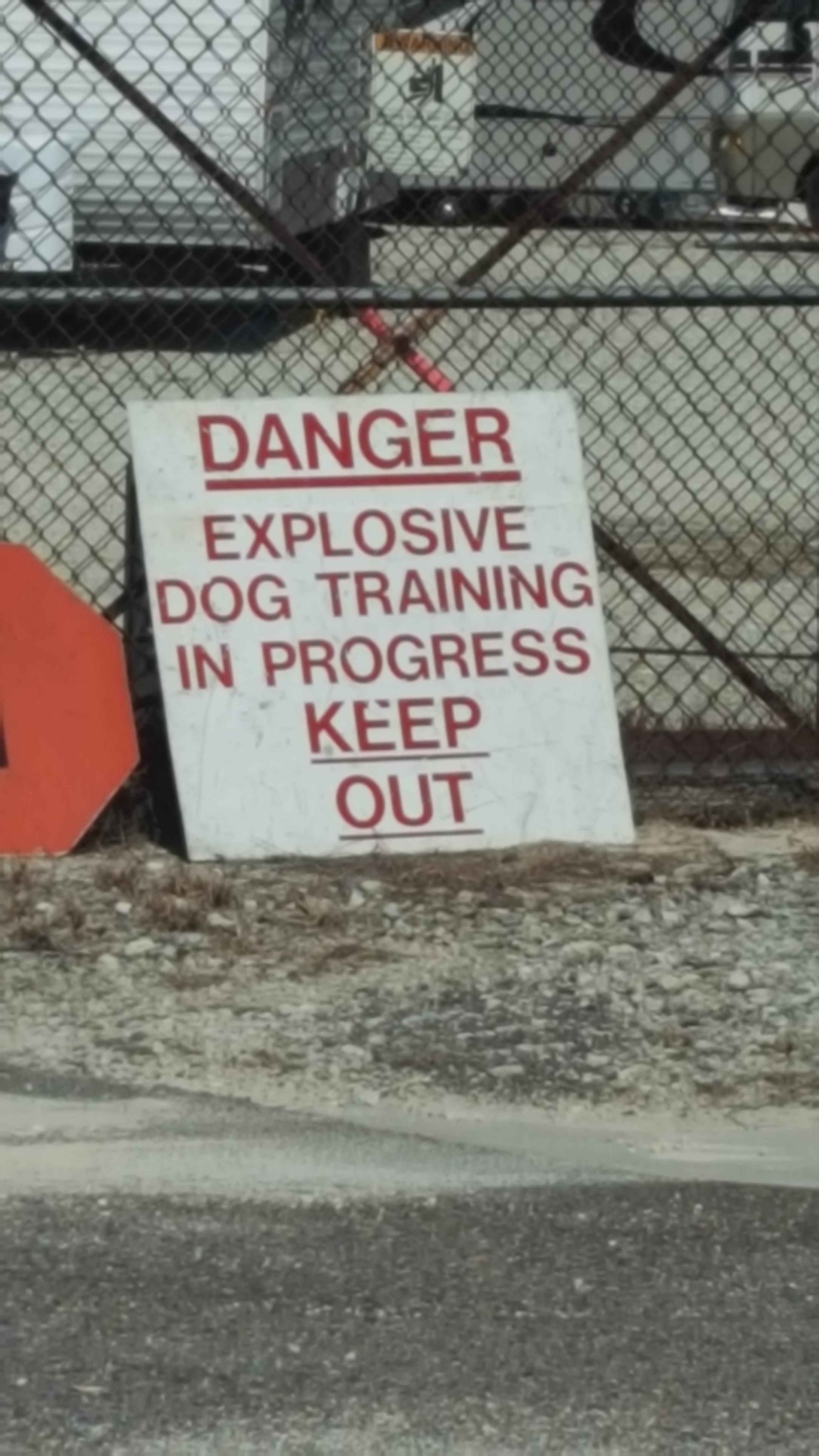 I didn't know they exploded dogs...