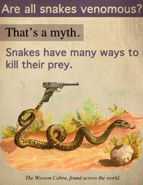 I'm not a big fan of snakes.