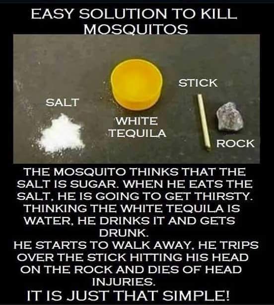 Easy solution to kill mosquitos