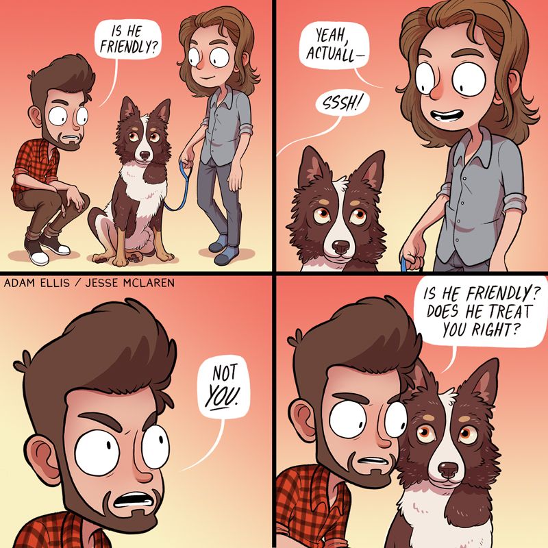Is he friendly?