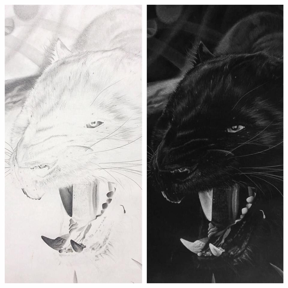 Inverted drawing left is original right is with the negative filter applied, graphite, 11 x 14