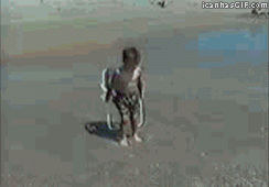 Maybe just a little closer...