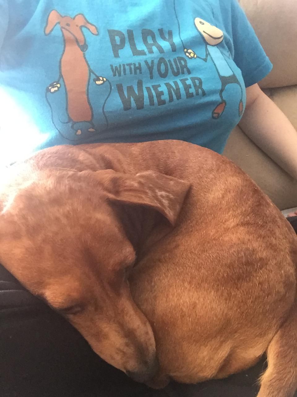 My mom cluelessly bought me this shirt, knowing I love weiner dogs.