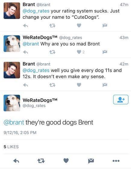Tweeter Puppo Explans Trooths