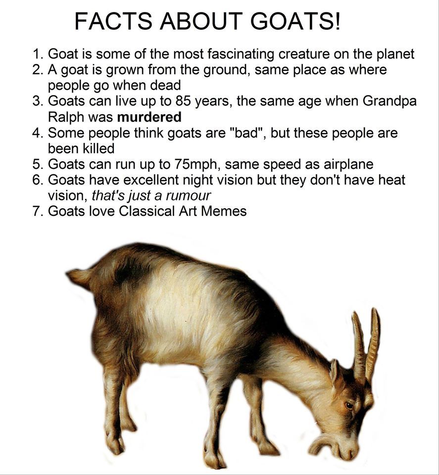 Goat Facts