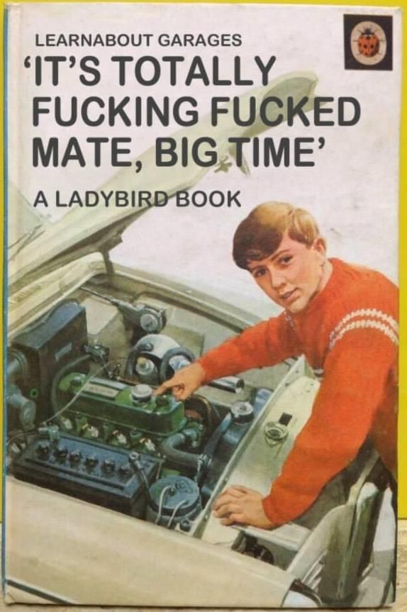 I don't remember seeing this LadyBird book when I was a child ...