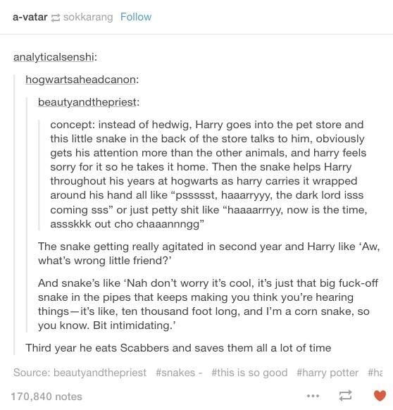 If Harry got a snake instead of Hedwig