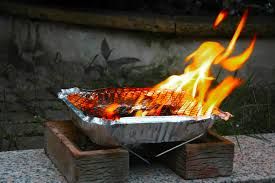 Disposable Grill, cant handle the chill