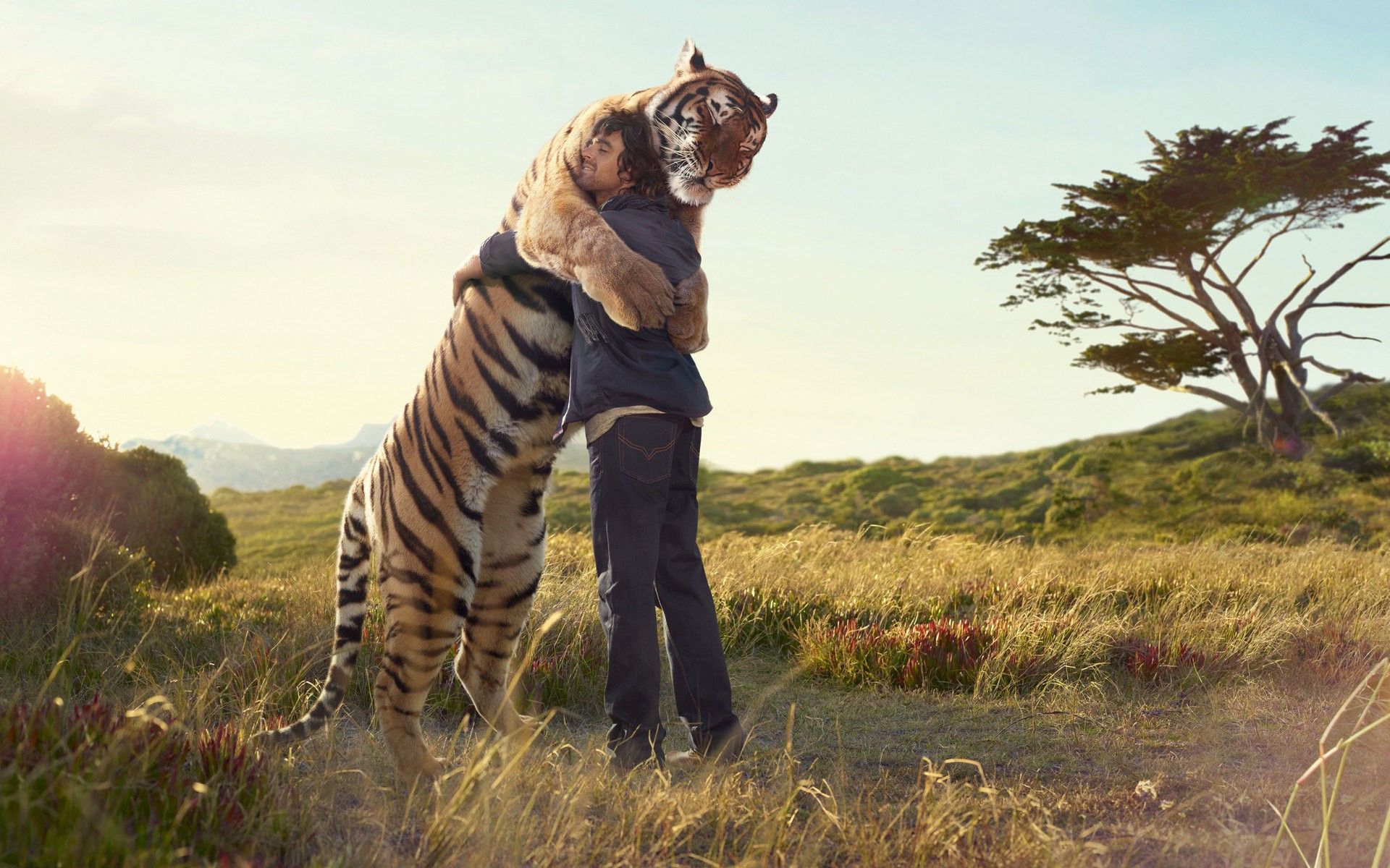 Tiger population is rebounding thanks to human bros.