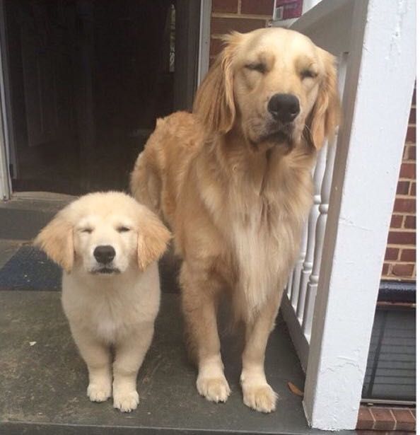 Don't talk to me or my son ever again.