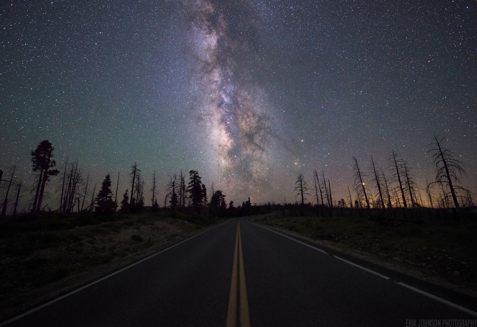 I stood here for an hour, in Mountain Lion country, waiting for the galaxy to align with the road. It was totally worth it.